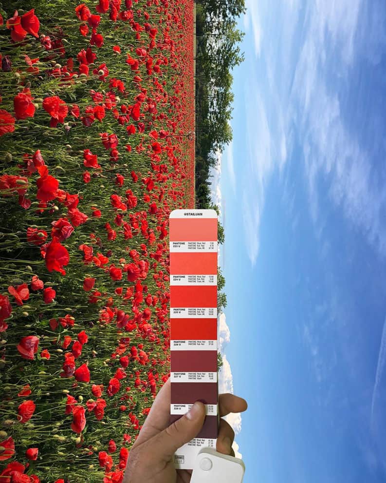 pantone