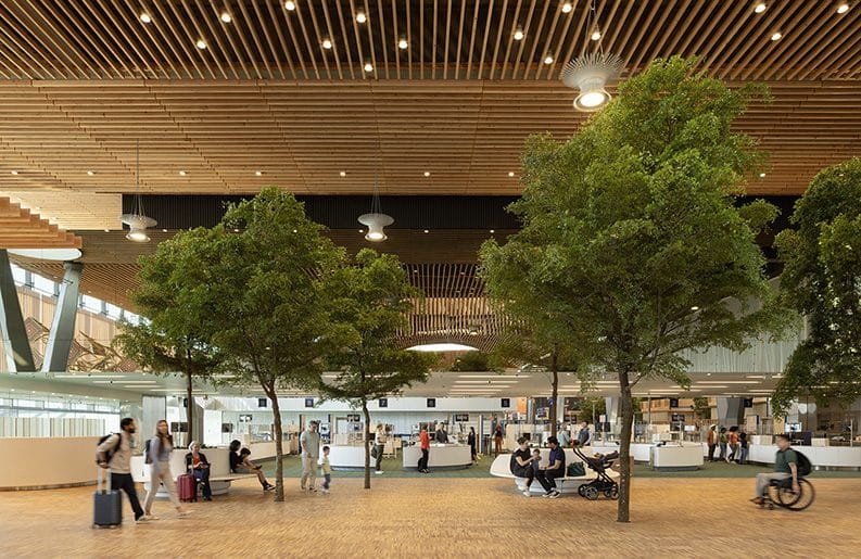 Diseño biofílico - El aeropuerto de Portland